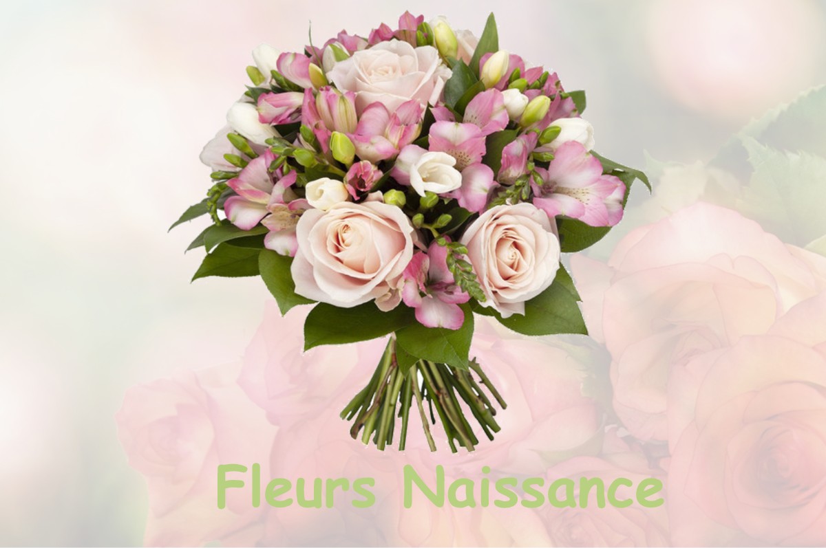 fleurs naissance BOURGNEUF